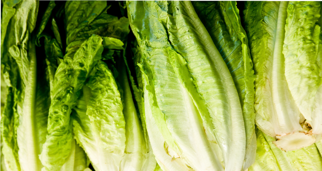 CHECK YOUR FRIDGE: The CDC is warning Americans to throw out any romaine lettuce they might have bought in stores as the number of illnesses linked to E. coli-tainted romaine rises sharply. wb.md/2HYWBNv
