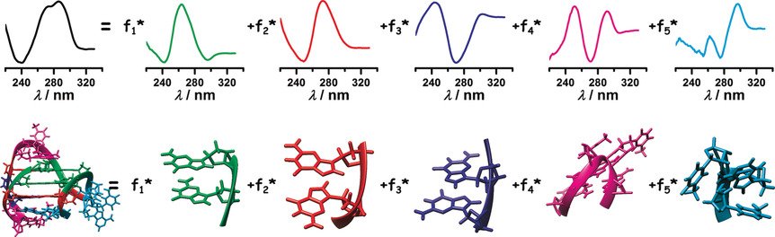 angew_chem's tweet image. #Gquadruplex #SecondaryStructure obtained from #CircularDichroism spectroscopy (Chaires) @UofLBCC doi.wiley.com/10.1002/anie.2…