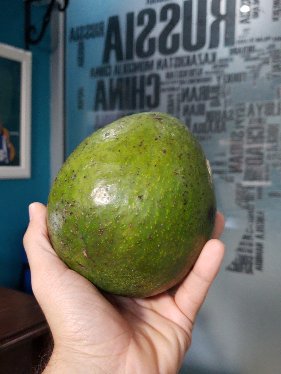 Garydearriba's tweet photo. A esta altura del año el que tiene un aguacate se puede considerar Santa Clo'. https://t.co/VgB6BCc9NU