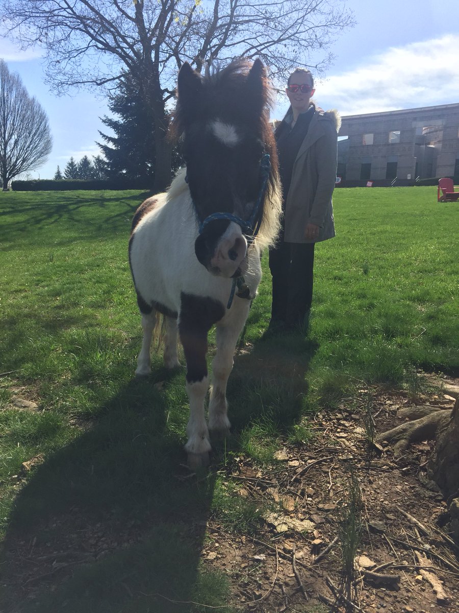 Horsing around at Campus Earth Day #RecycleShip ♻️🌏🐴