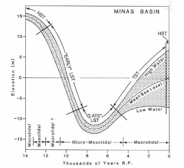 When last Pleistocene ice cap melted, land 1st rose isostatically, before sea level rise took over. At ca 4k BP, tidal expansion is documented in Minas Basin (pic 1  https://onlinelibrary.wiley.com/doi/abs/10.1111/j.1365-3091.1994.tb01442.x), but not in Bay of Fundy itself (pic 2 from  https://pubs.geoscienceworld.org/cjes/article-abstract/47/8/1079/247637.  #MinasBasinTidal