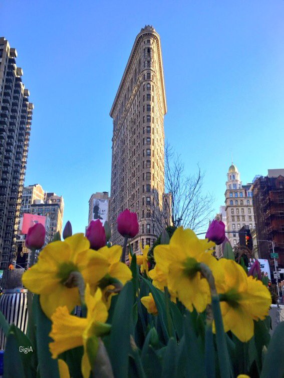 RT <a href="/gigi_nyc/">Gigi A</a> Spring time in the Flatiron district #NYC #WJHotel #BoutiqueHotel #VisitNYC #View
