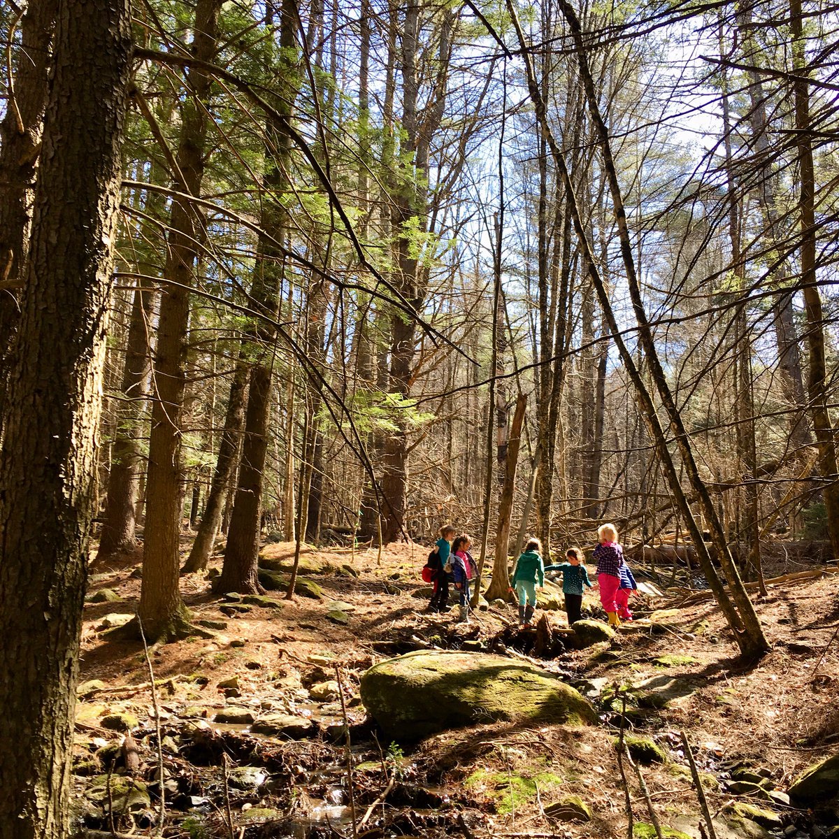 Teachers, educators, ECE’s, come join us this summer for the #ECO Institute! Start your own forestday @ your school! #forestfriday #forestkindergarten #forestpreschool #natureimmersion northbranchnaturecenter.org/eco_training.h…