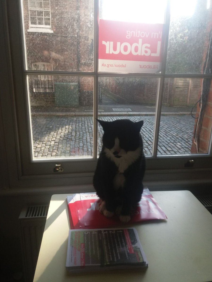 LauraPascal81's tweet photo. Norman of Gibson Gardens got a #labour poster from the Cazenove campaign team for his flat. Be like Norman.

Email Laura and Sam to request one: labour4cazenove@gmail.com @PetsForLabour @HackneyLabour https://t.co/NgaKcvJCzx