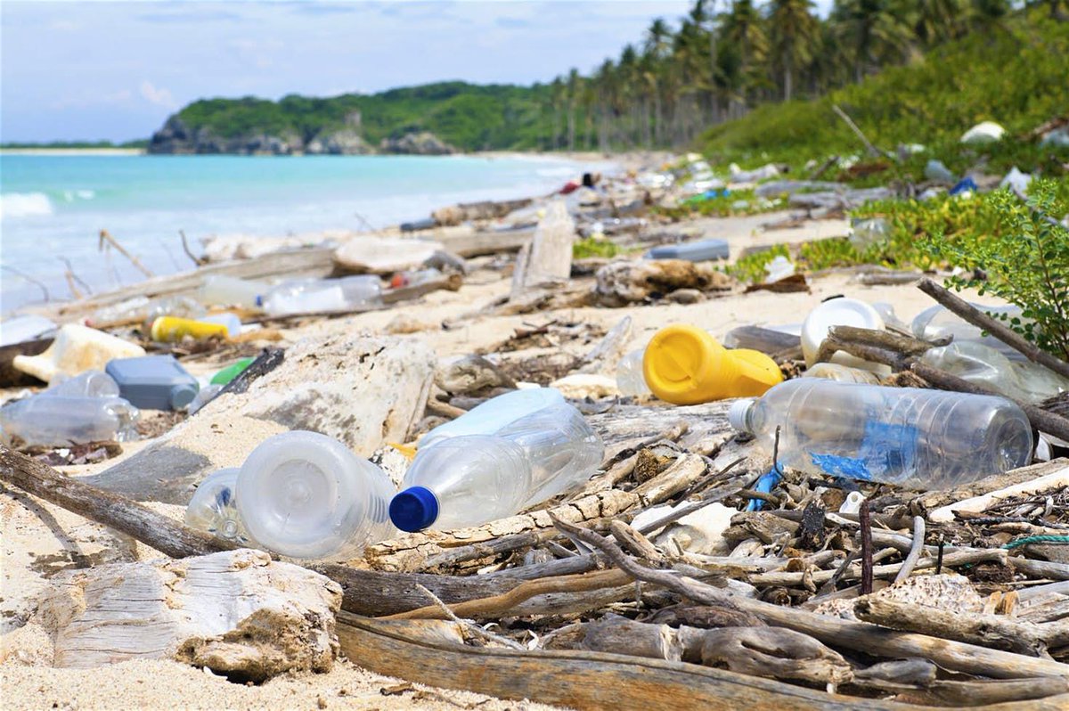 TAPP_revolution's tweet photo. RT @ "Is it time to take the plastic-free #travel pledge?    #UKPlasticsPact https://t.co/mFWznQWDk8" https://t.co/RwNupBnMur