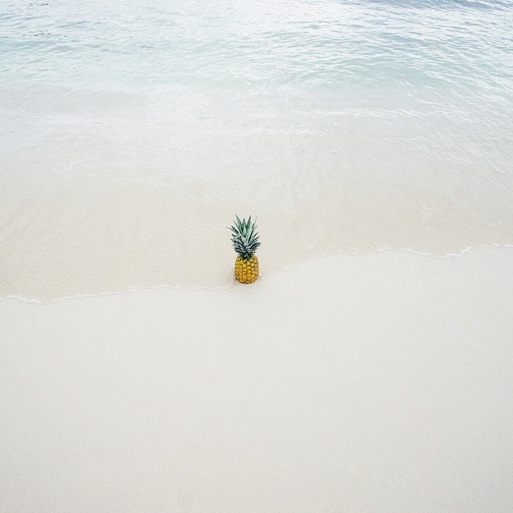 Don’t be a pineapple 🍍 in the ocean 🌊 be part of the #freelanceeventmanager community  #eventplanning #eventplanning #eventplanninglife #eventplanningmiami #eventplanningnyc #eventplanninguk