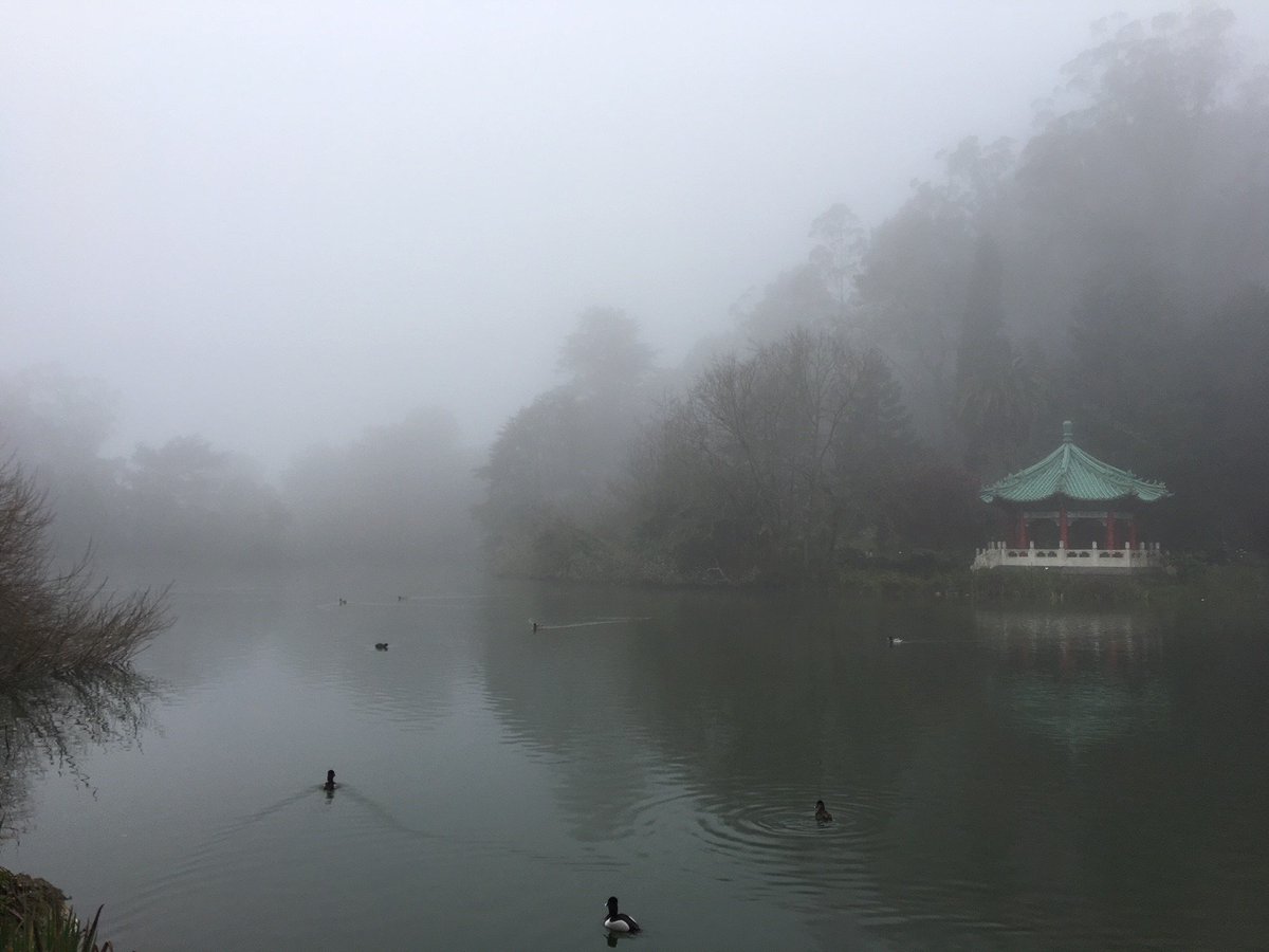 DocuSignIMPACT's tweet photo. Neither fog nor rain will stop us.
TMRW -- @DocuSign #SF cleans up Stow Lake in @GoldenGatePark for #SpringIMPACTDay. Here's how you can make an impact too: https://t.co/FGN7EKpz1f #DocuSignIMPACT https://t.co/nnbLzbhUK2