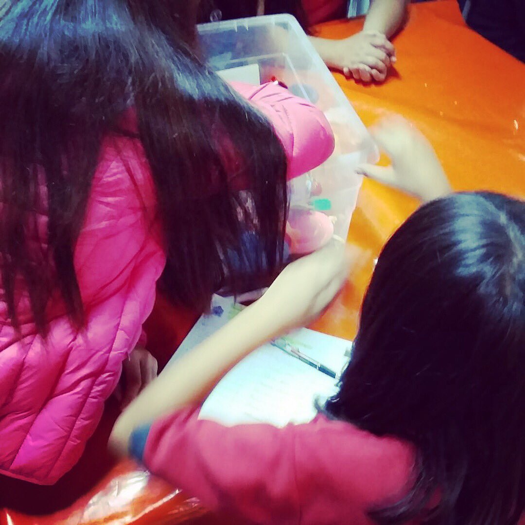opdvinadelmar's tweet photo. Taller Princesas y Más en escuela Patricio Lynch con el segundo ciclo básico: analizando estereotipos de genero asociados a juguetes #derechosdelosniñosyniñas #noaladiscriminacion #opdviñadelmar #talleres #promociondederechos https://t.co/wQfSkVlyj1