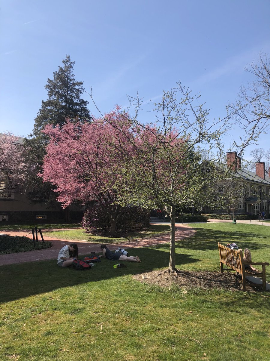 haverfordedu's tweet photo. Campus is (finally) springing to life! We love seeing Haverford in bloom! https://t.co/mXze9Nvkyd