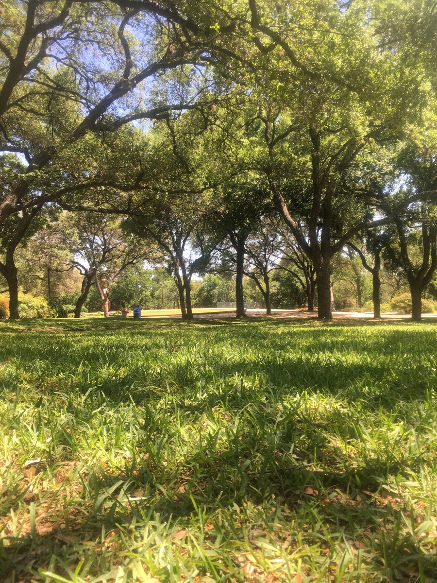 ridetheeddy's tweet photo. Today, find a green space and give yourself a moment to take it all in!! 🌲🌿🌳🍃💚 https://t.co/NTRMn2qkSi
