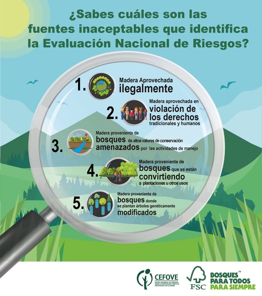 FSCEcuador's tweet photo. ¿Sabes cuáles son las fuentes inaceptables que identifica la Evaluación Nacional de Riesgos?
Entérate más en el siguiente link:
https://t.co/Le9imxZMDO
#Bosquesparatodosparasiempre #FSCEcuador
#ECUADOR https://t.co/ScdoqrNJ66