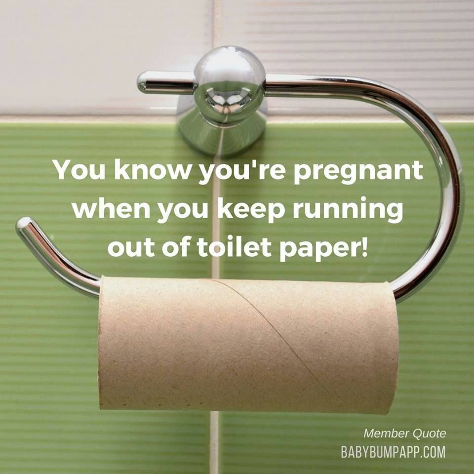 Baby Bump tweet media