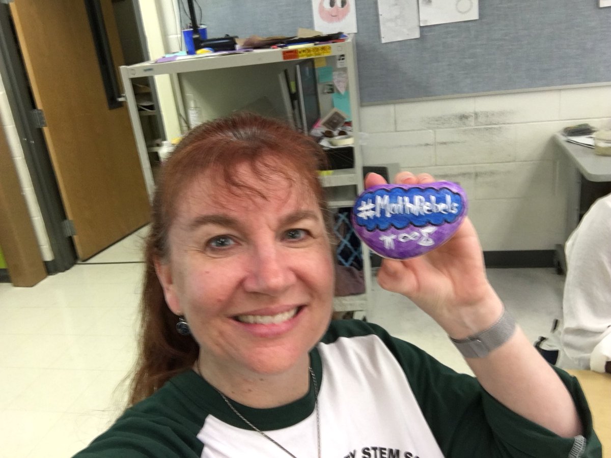 iteachthewhy's tweet photo. Painted a rock for our school’s Rock Garden! #MathRebels https://t.co/M1LMG61Qtn