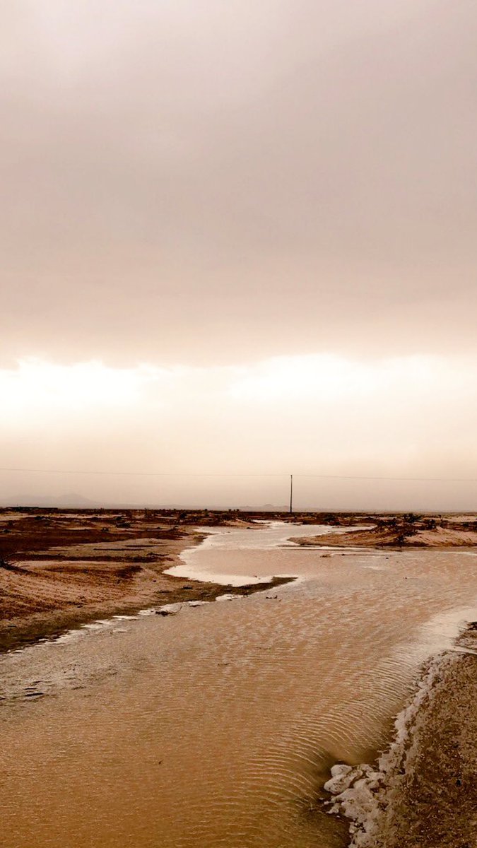 "يومين" ما للمزن يا نجد رادع
كنّه عليك اللي خذته الحموّة
،
نفـضة ثعـوله يـوم قفّى مـوادع
نفضة يدين اللي خلص من وضوّه