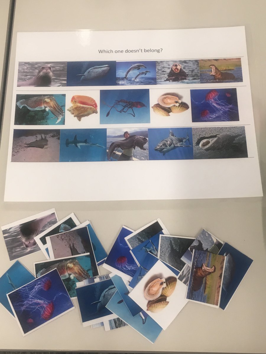 MissTulia's tweet photo. What a fun and interactive way to end a #literacy course. Way to go #UNILit #UNIlited https://t.co/D2bKqa3nUQ