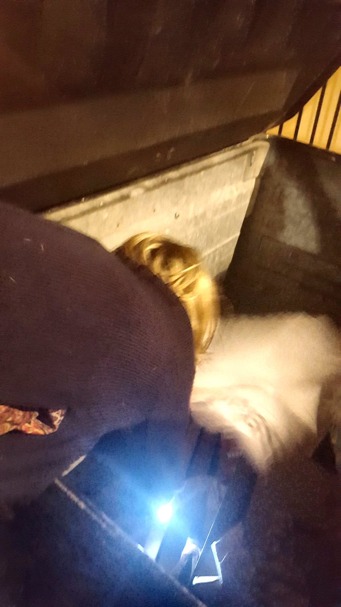 winter_msholly's tweet photo. Bc we need mundane/ silly/ goofy/ everyday visibility: here's a picture of me last night hanging into a huge communal recycling bin, searching for the Ikea instructions my gf had mistakenly thrown away earlier in the day. #LesbianVisibilityDay #notyourfantasy #celebrateordinary https://t.co/ayxximtqNA