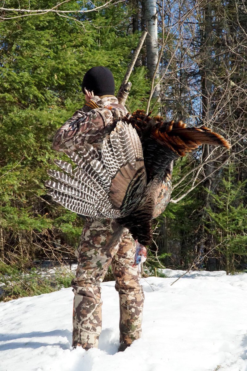 HardcorePursuit's tweet image. Congrats to team member @JoshSteinLand on putting down the first bird for HCP! @firstlitewool @SPORTSMANchnl 
.
.
#firstlite #turkey #hardcorepursuit