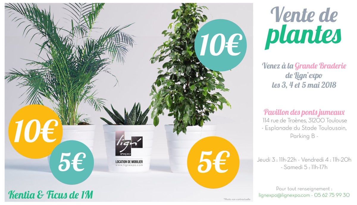 Lign_E's tweet photo. Grande vente de plantes organisée du 3 au 5 mai 2018 ! 
Plus d'infos sur la page Facebook de Lign'Expo
Venez nombreux, tout doit disparaître !
#plantes #plante #toulouse #stadetoulousain #ficus #kentias #braderie #planteverte #jardin #verdure #intérieur #vert #nature https://t.co/wJmdoiK5pD