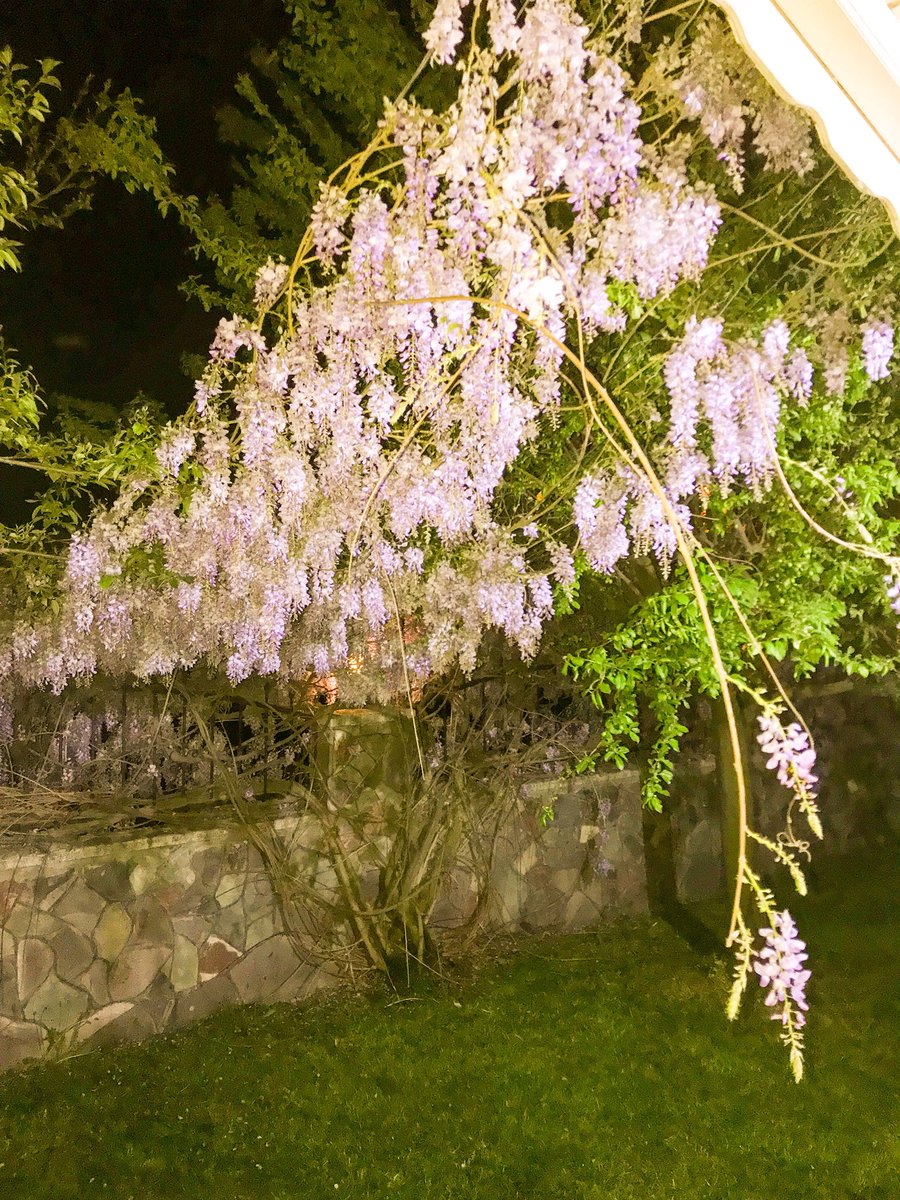 Murat14 (@mrtckmk14) on Twitter photo 