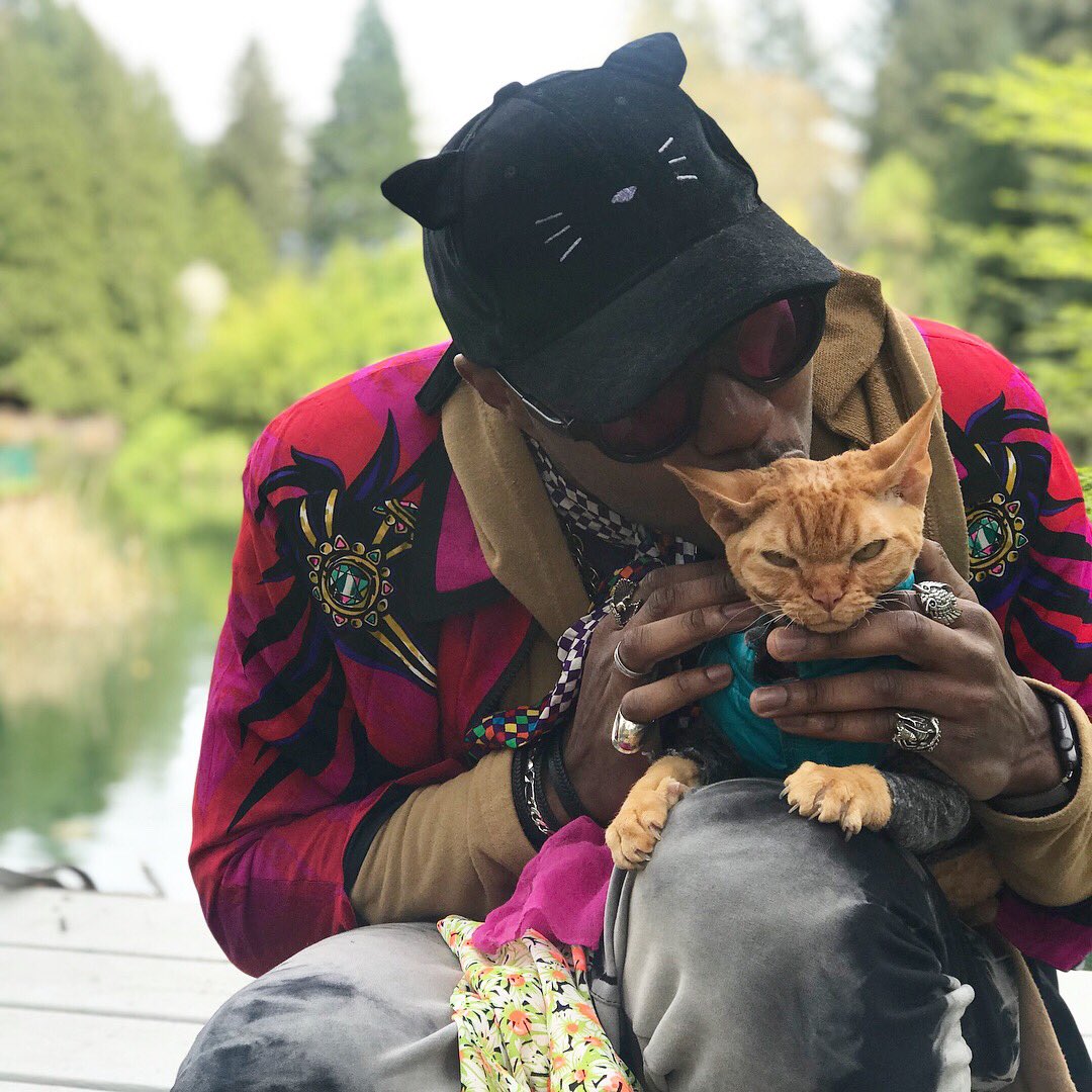 MollyRiehl's tweet photo. He’s one cool cat! This morning on @MoreGDO, I sit down with @iammoshow The Cat Rapper. Find out how he found his love for felines and why he says the Rose City is the purrrrrfect place for him https://t.co/Zoo1mSvD9O