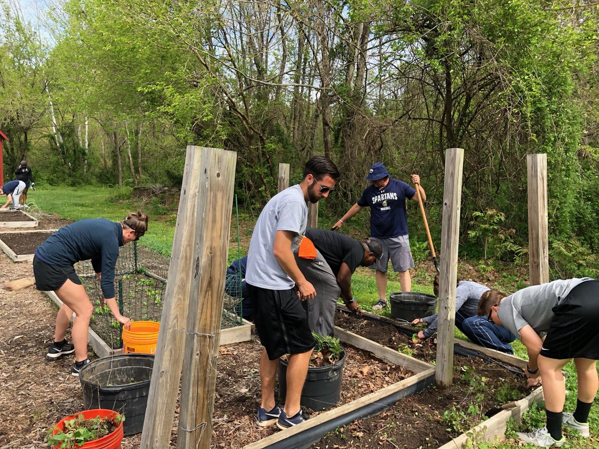 uncgspartans's tweet photo. Our next stop for Big Help Day is helping out our friends at Lindley Elementary with @GCSchoolsNC!
Coaches and staff did work weeding the garden and planting vegetables this morning. #UNCGBigHelp #letsgoG https://t.co/CJDrhUvCn9
