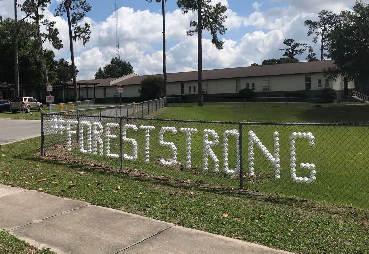 WyominaWarriors's tweet photo. Wyomina Park is #ForestStrong! 💚💚💚 #MCPSFAMILY @Grantham_Greats @drheidi2007 https://t.co/KbOcuDhv6Y