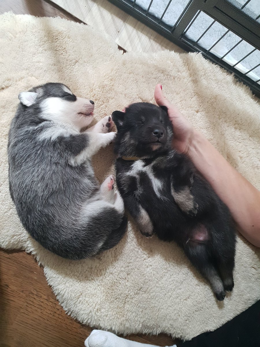 You could have one, choosee!!!!!!!!!!!