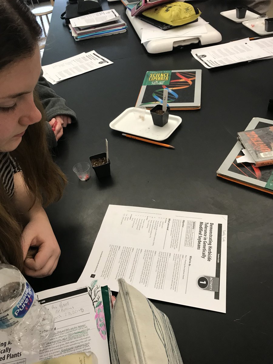 jrollins_'s tweet photo. Genetics unit intro. Planting genetically modified soy beans and traditional soy beans. #fuseri #ngss https://t.co/JWhyxarpQK