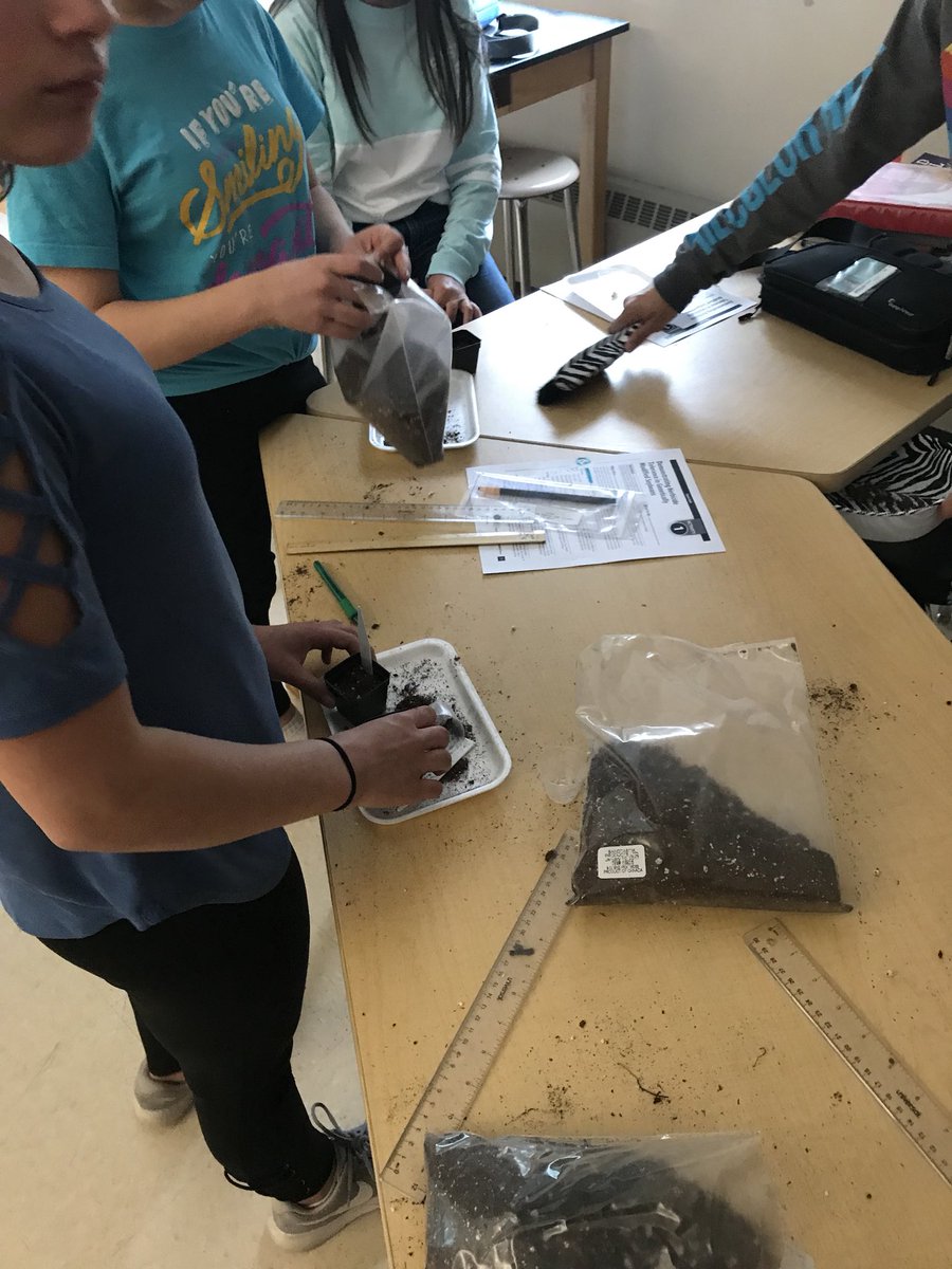 jrollins_'s tweet photo. Genetics unit intro. Planting genetically modified soy beans and traditional soy beans. #fuseri #ngss https://t.co/JWhyxarpQK
