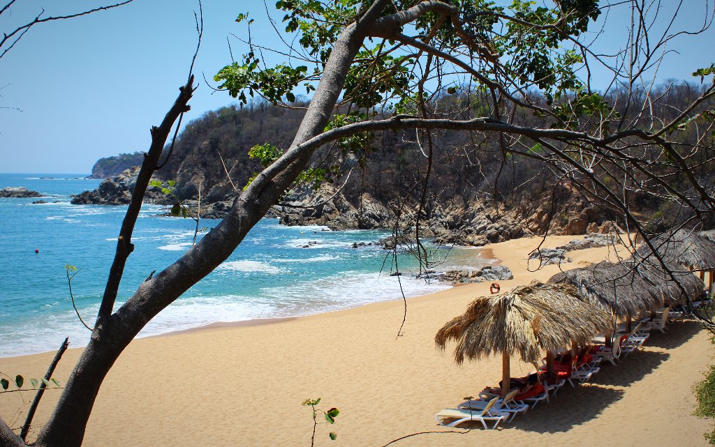 SecretsHuatulco's tweet photo. #JuevesPlayero Déjate cautivar y sumérgete en la hermosa vista de Bahía de Conejos. 🏝️ https://t.co/gNsekrKuQD