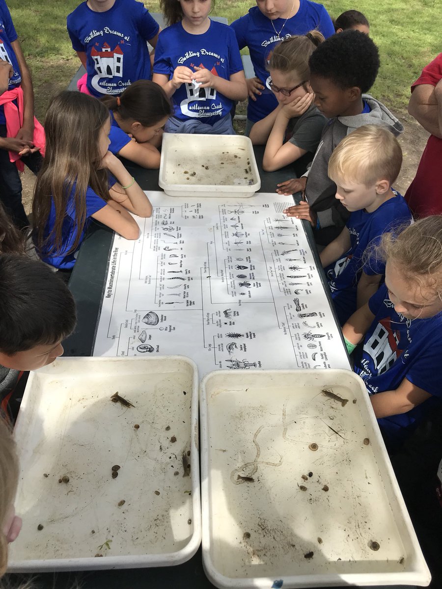 mskclarkcce's tweet photo. A Day at the Wetlands #1midwayscience @CCEScienceLab @courtneyjer @MrsTaylor4CCE @CCECounseling @CastlemanCreek @MrsAClark4CCE #ccegrows https://t.co/YPzakOZC8G
