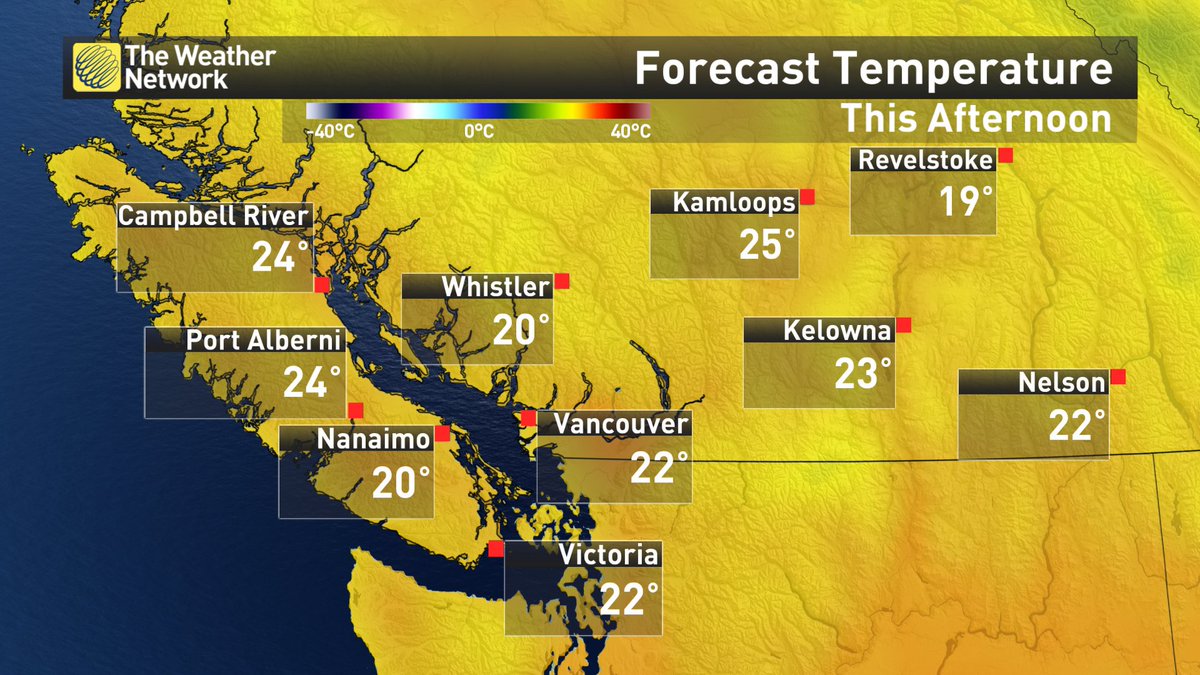 Michelle Mackey tweet media