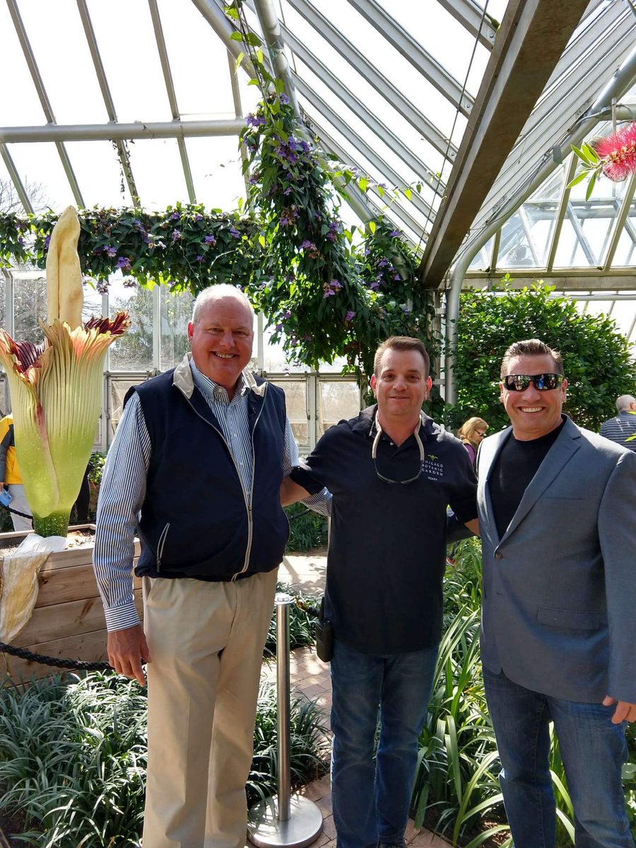 chicagobotanic's tweet photo. .@JohnHowellWLS and @RamblinRay890 visited @tim_pollak and #CBGSpike. They got to smell the stink, and learn a lot about our biggest #corpseflower ever! https://t.co/xpqUFvGAIJ