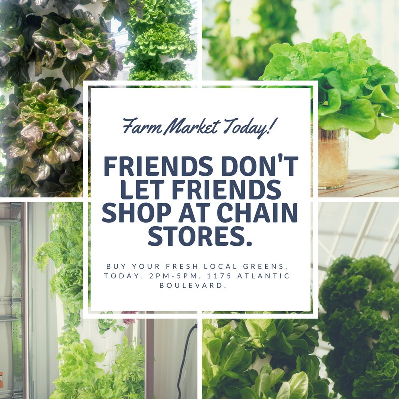 ABUrbanFarms's tweet photo. Buy crisp, local, freshly harvested lettuce, arugula and kale at the Atlantic Beach Urban Farms Farm Market, today! 2pm - 5pm. 1175 Atlantic Boulevard. Can't wait to see you there!#jaxlocal #ilovejax #atlanticbeachfl #neptunebeach #jaxbeach #eatjax #urbanfarm  #aeroponic https://t.co/kAor6az8Xt