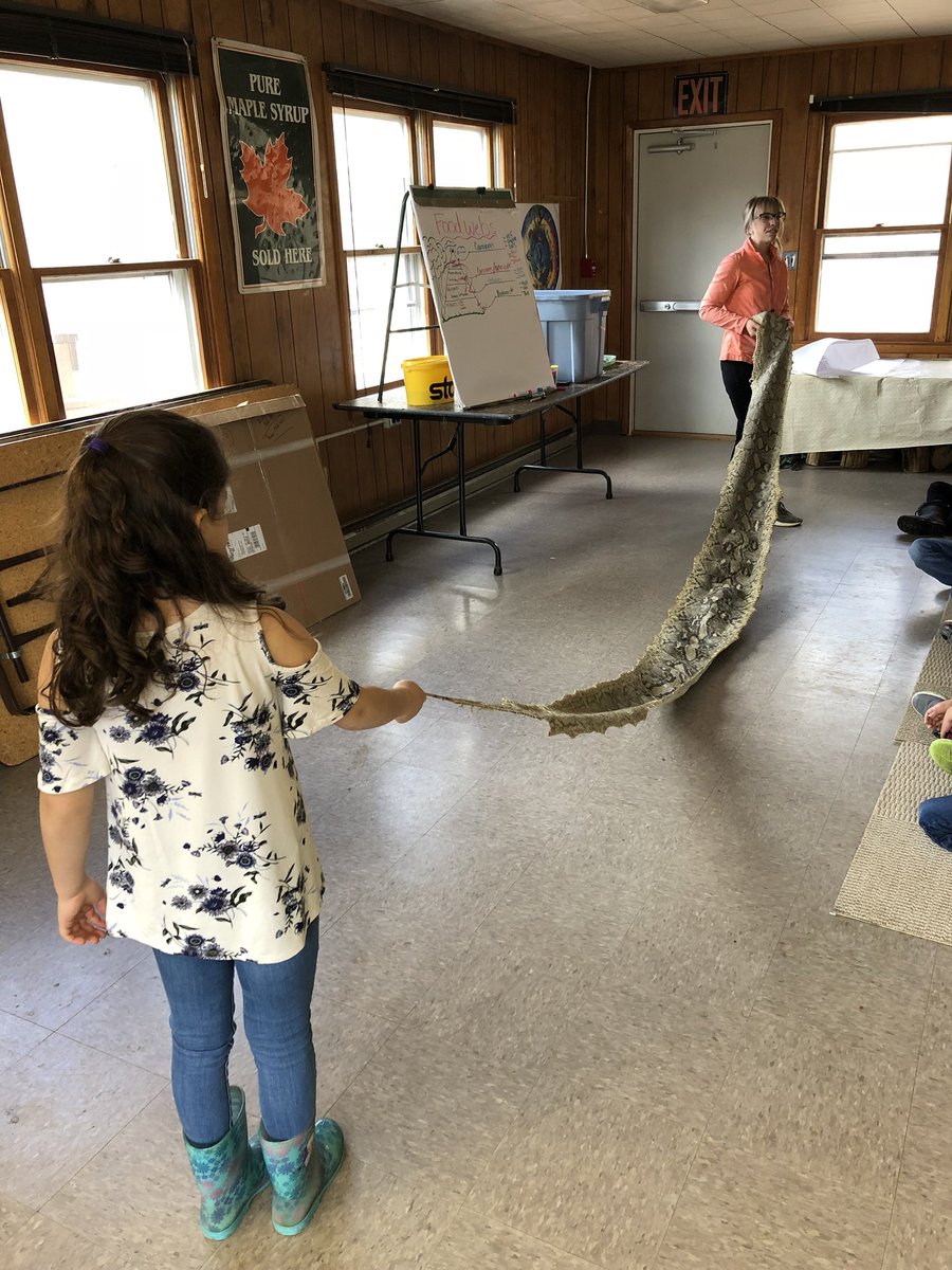 Barrows' Bunch tweet media