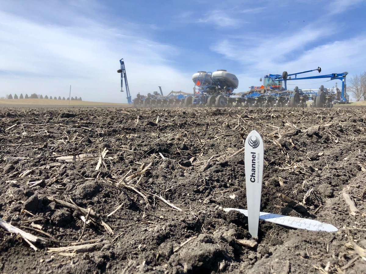 farmerfouch's tweet photo. Full steam ahead in Central Iowa 🌽@ChannelSeed #fcus in full affect! @channelseed_cia #PlacedToPerformContest #checkyourdepth https://t.co/yVNw3rlI9k
