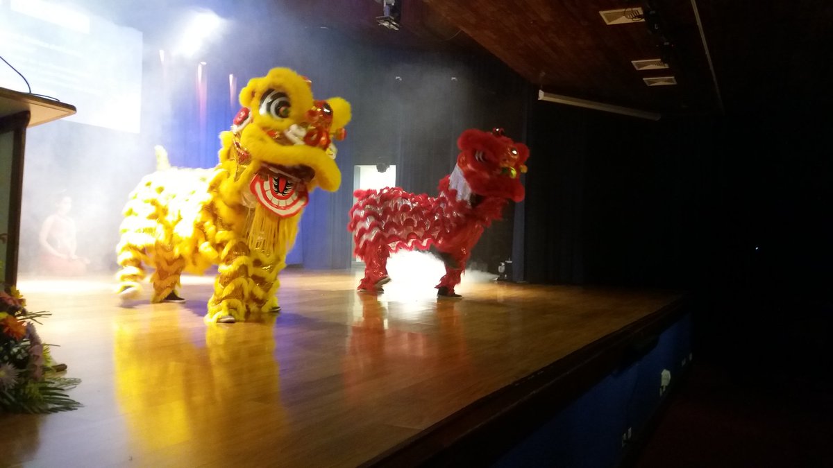 comunidadUNACR's tweet photo. #CALEU2018 En este momento, celebrando el aporte de la cultura China al mundo, a través del tradicional corte de papel y la Danza del León. "El multilingüismo como medio para el fortalecimiento de los #DerechosHumanos". https://t.co/BElRcEE66r