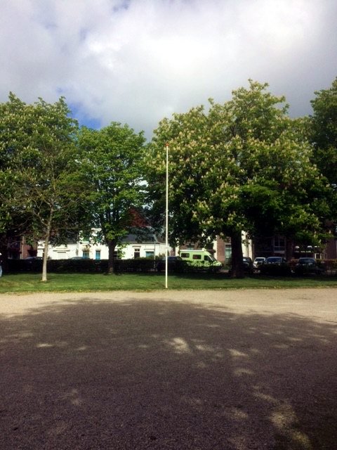 Stadspark Molenwater tweet media