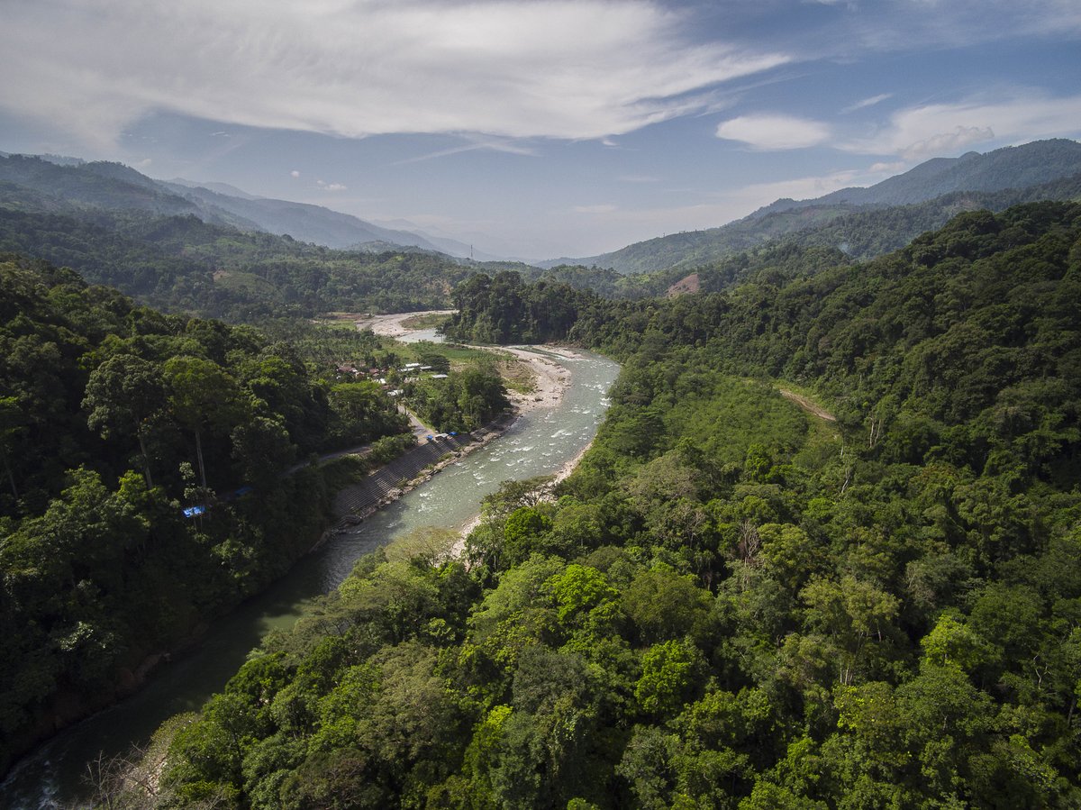 Palm oil is the most common vegetable oil in the world and one of the world’s most leading deforestation drivers.
⠀⠀⠀⠀⠀⠀⠀⠀⠀
Check out our Instagram Story to follow @joekrolick’s journey to the Leuser Ecosystem to learn more. 🌎
⠀⠀⠀⠀⠀⠀⠀⠀⠀
#TyphoonH