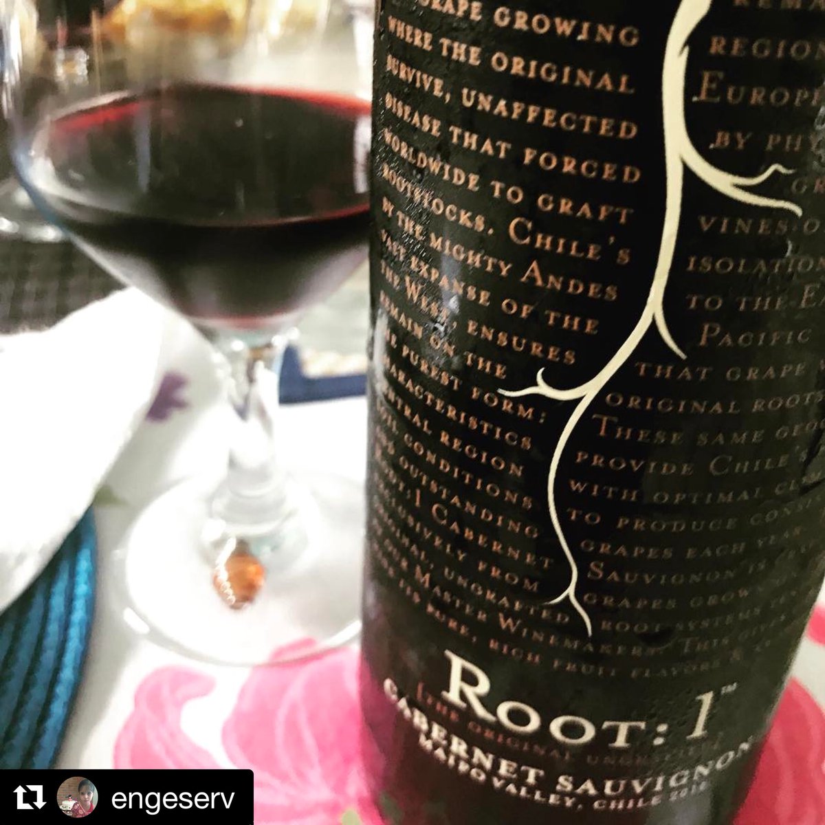 Root: 1 Cabernet Sauvignon, music to our ears and taste buds! #Root1Wine #Root1 #WineTime #CabSauv #CabernetSauvignon 🍷