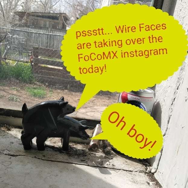 WireFaces's tweet image. That oinker isnt wrong! @focomx instagram takeover starts right... Meow!!! ift.tt/2HtnMmB