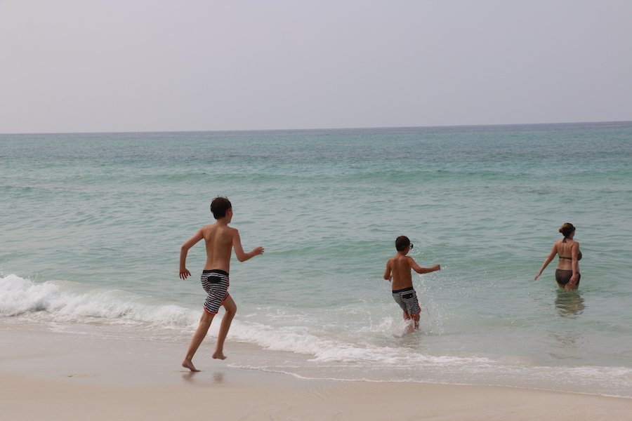 LuLusGulfShores's tweet photo. It's about time you booked your trip to #GulfShores! https://t.co/DgzZZ751PH