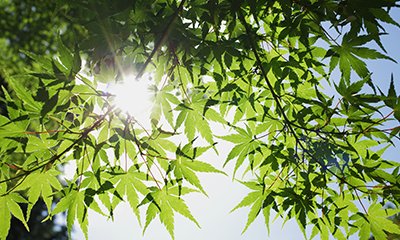 davidpellettier's tweet photo. Here are 5 landscaping trends that are on the rise and make your home look and feel better for yourself, your family and even potential buyers! #yyc #yycre #calgary
https://t.co/tiZoA4ni65 https://t.co/DVzZAumA4e