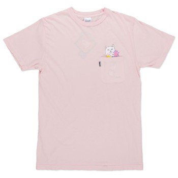 SKATE_PHARM tweet media