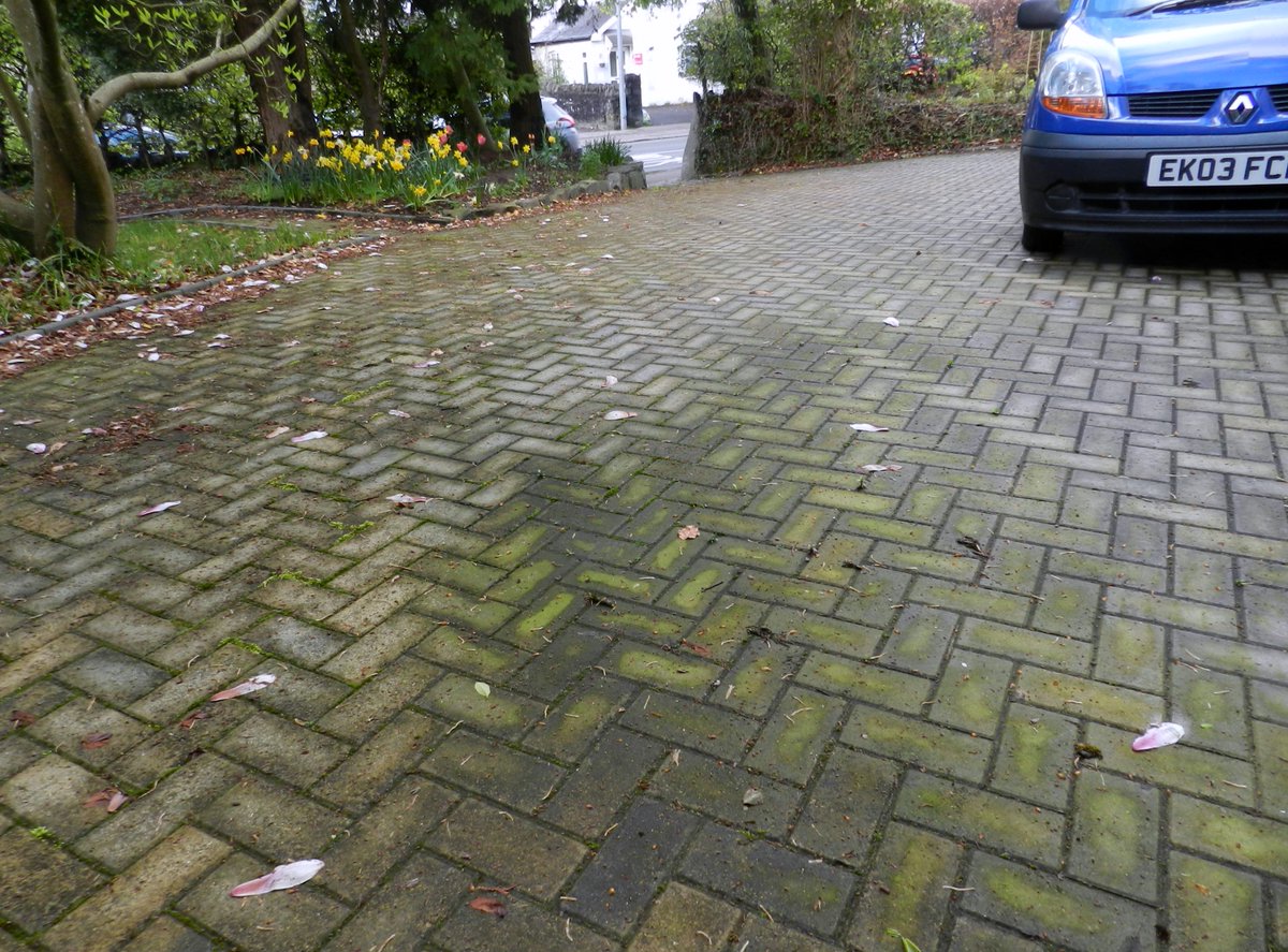 valejetclean's tweet photo. If you don't have the equipment or time to transform the appearance of your driveway don't worry, we do. For a free no-obligation #jetwash quotation give us a call at #ValeJetClean on 02920 700571 or 07767 310618 #Cardiff #Penath and the #Vale https://t.co/VmTeinZDf2