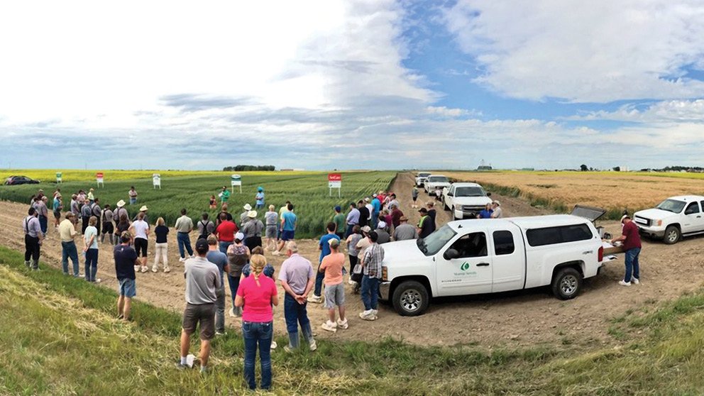 FCCagriculture's tweet image. “For us, it’s not a one or two-year thing. We’ve been talking about this and working on it for 10 or 12 years now.” Read the Stamp’s transition story. #LetsTalkTransition #CdnAg fcc-fac.ca/en/ag-knowledg…