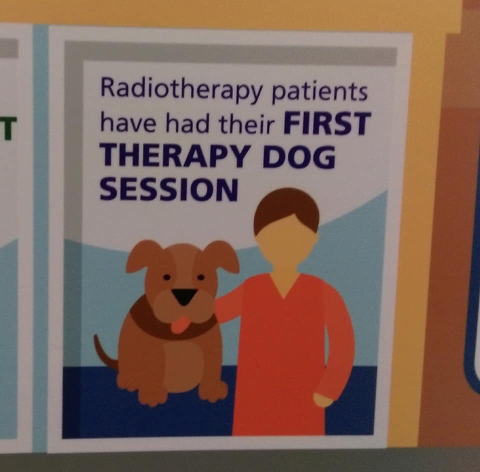 paws4wellbeing's tweet photo. It's lovely to see our dogs mentioned on the @UHBristolNHS  Bristol Haemotology &amp; Oncology Centre infographic display boards. ❤ 
Lots of great work being done to improve patient care.
#Bristol #AnimalAssisted #Wellbeing https://t.co/UoWfgsH9GE