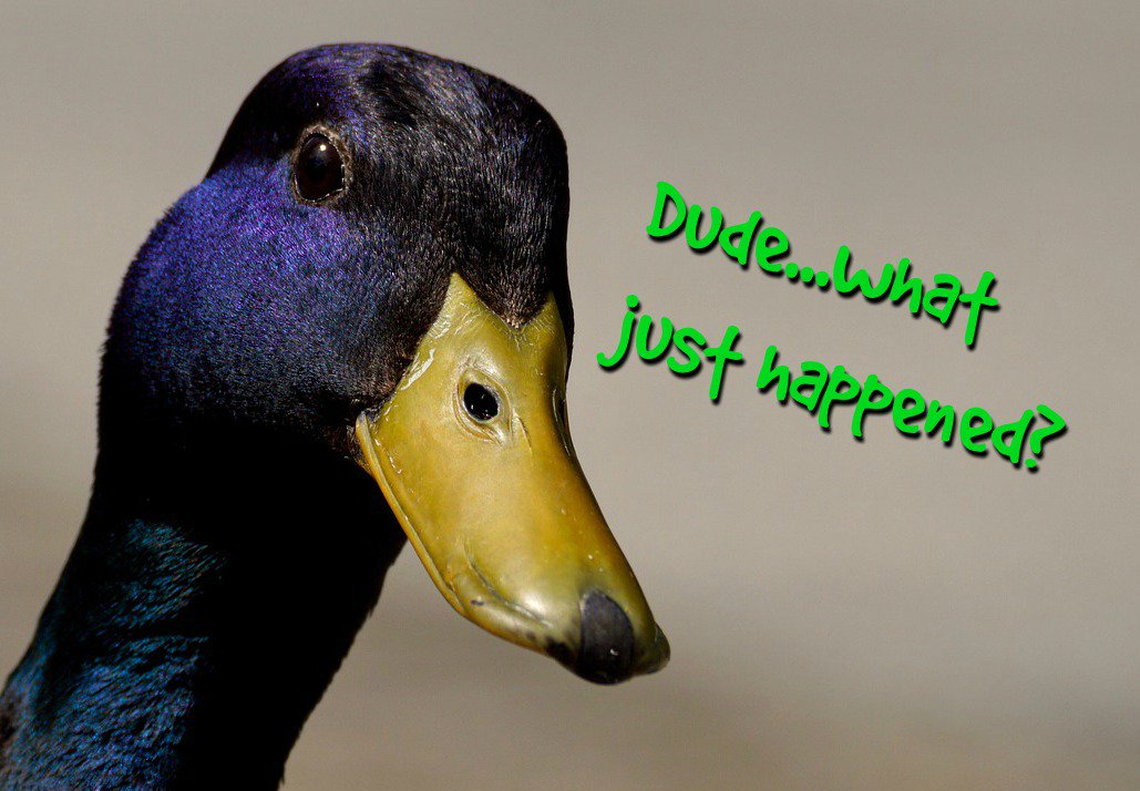 PodnarWriting's tweet image. Will there still be #email marketing after the #GDPR takes effect on May 25? Yes, but some of the rules will change, especially when it comes to using #GatedContent and #ContentDownloads to gather email addresses. ow.ly/zsev30jHhND #ContentMarketing