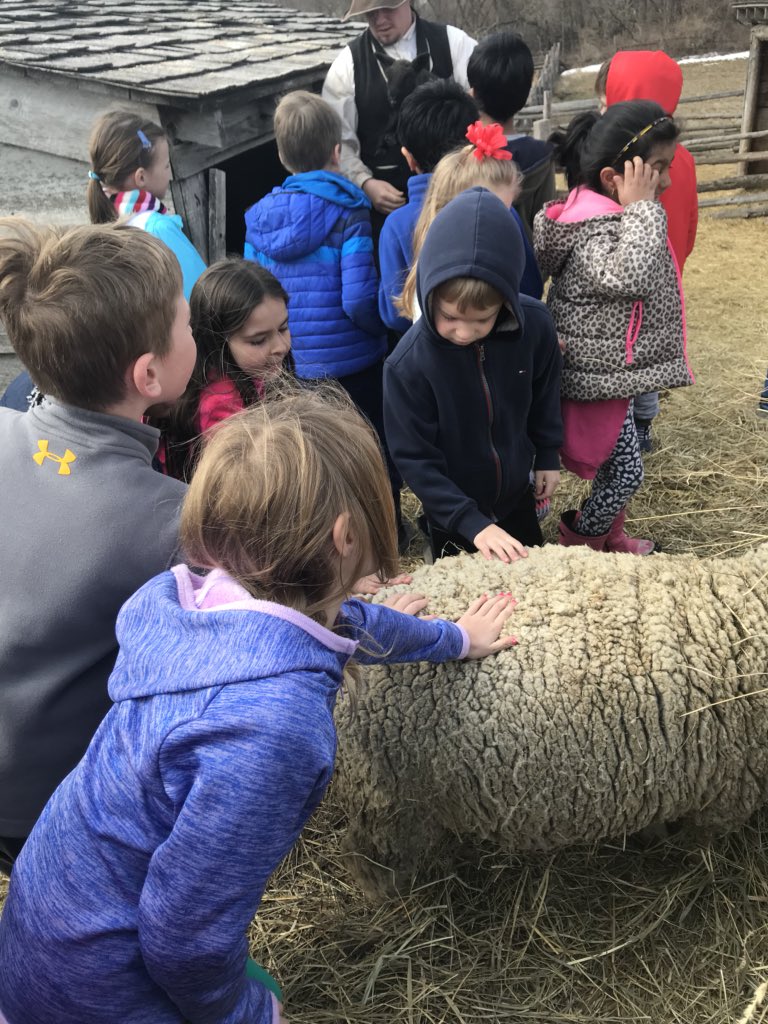 MsFalkowskiKL1's tweet image. Visiting the Oliver Kelly Farm! Doing farm jobs including petting a 2 week old lamb!