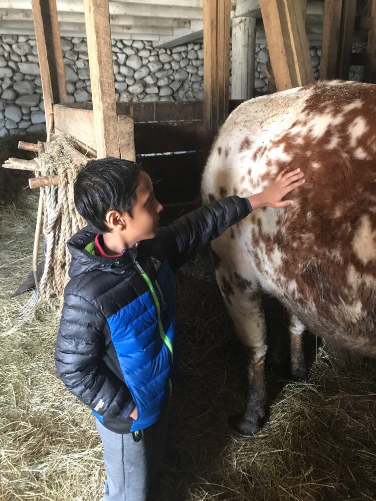 MsFalkowskiKL1's tweet image. Oliver Kelly Farm